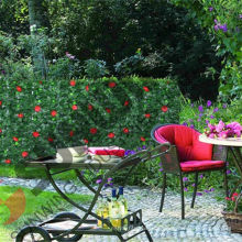 Dekorativer Rosenblattzaun, künstliche grüne Wand